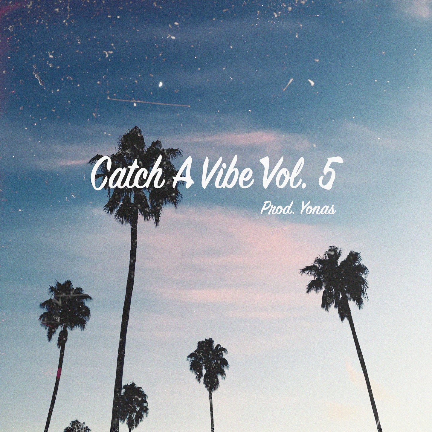 🌴🌊Catch A Vibe VOL.5 - West Coast R&B Sample Pack